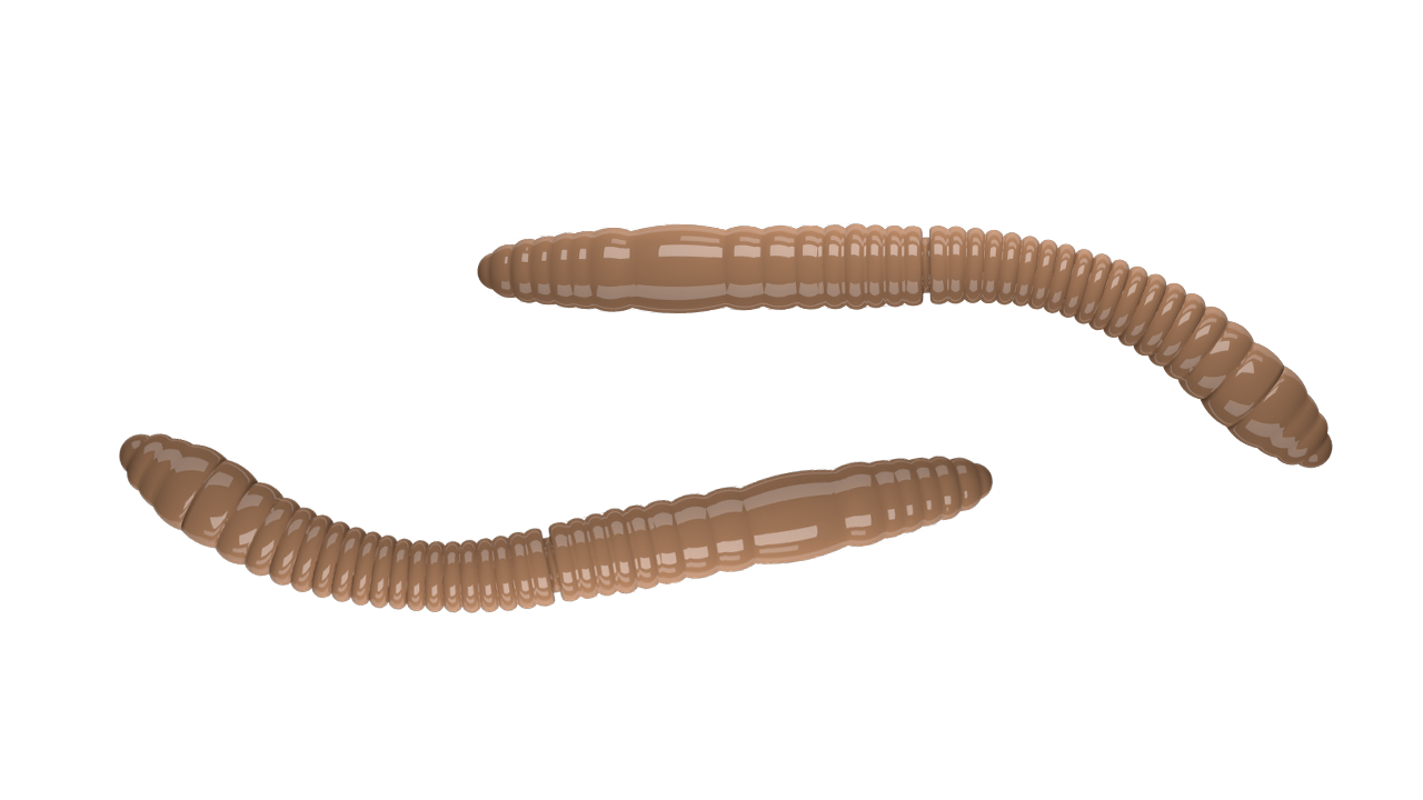 LIBRA LURES Fatty D'Worm Tournament 55mm