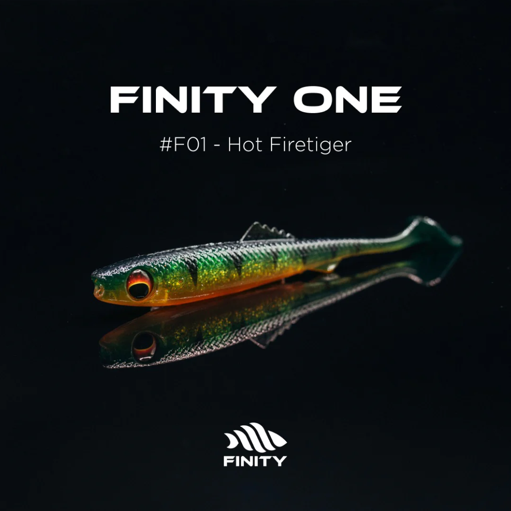 FINITY One