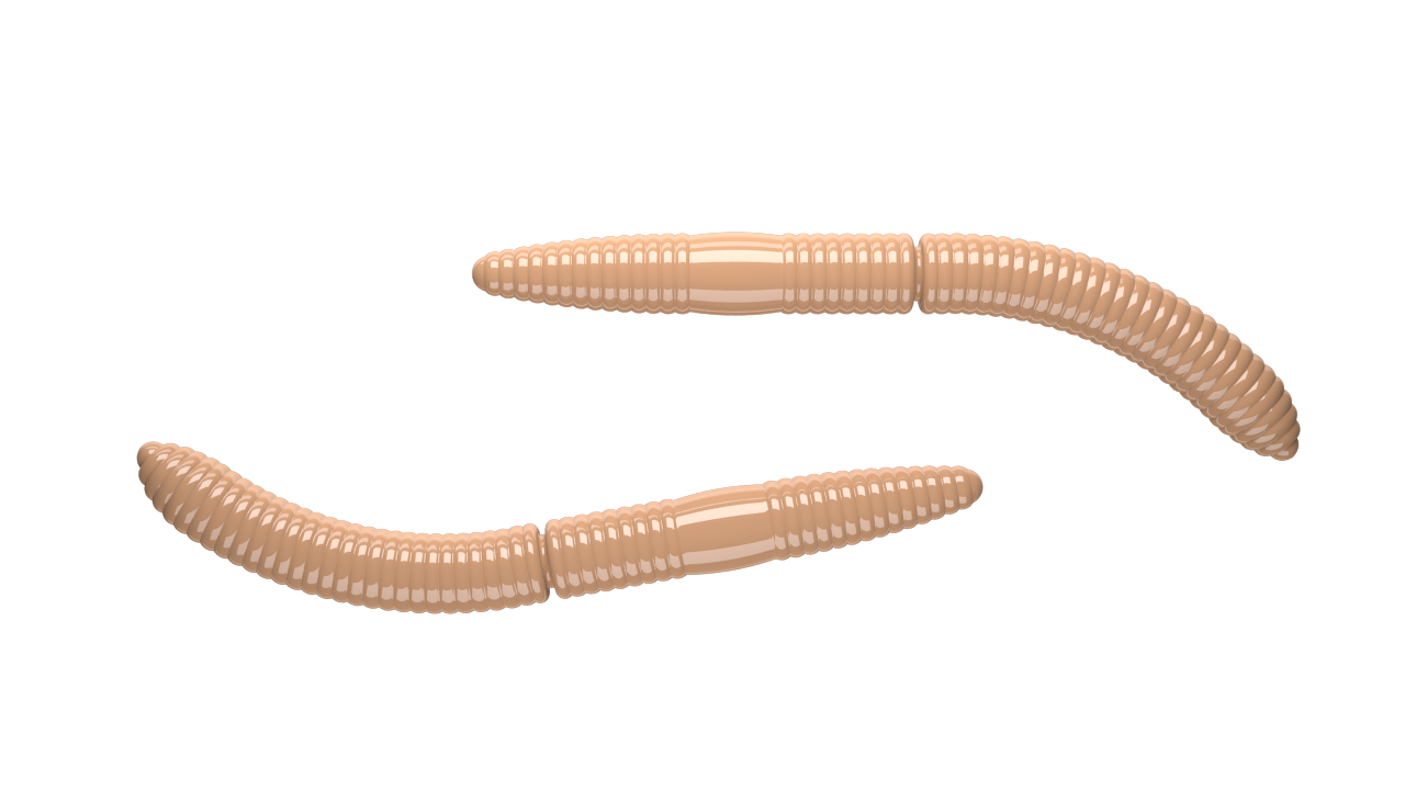LIBRA LURES Fatty D'Worm 65mm