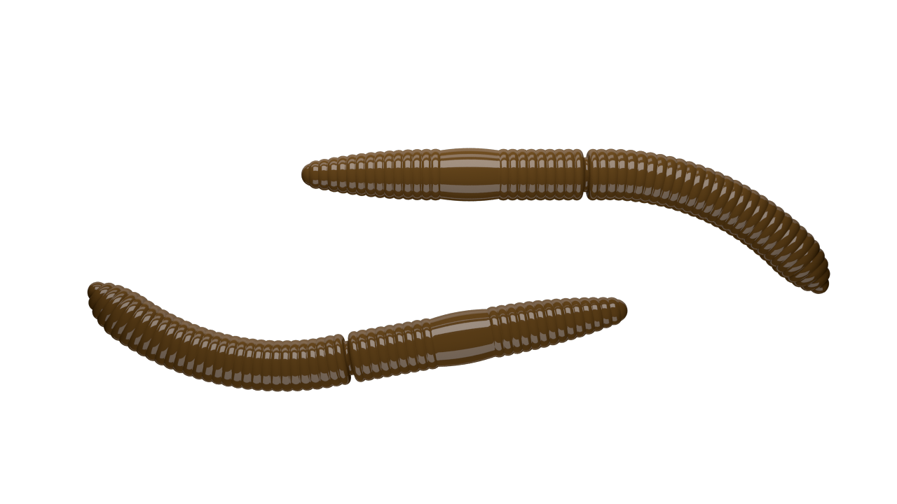 LIBRA LURES Fatty D'Worm 65mm