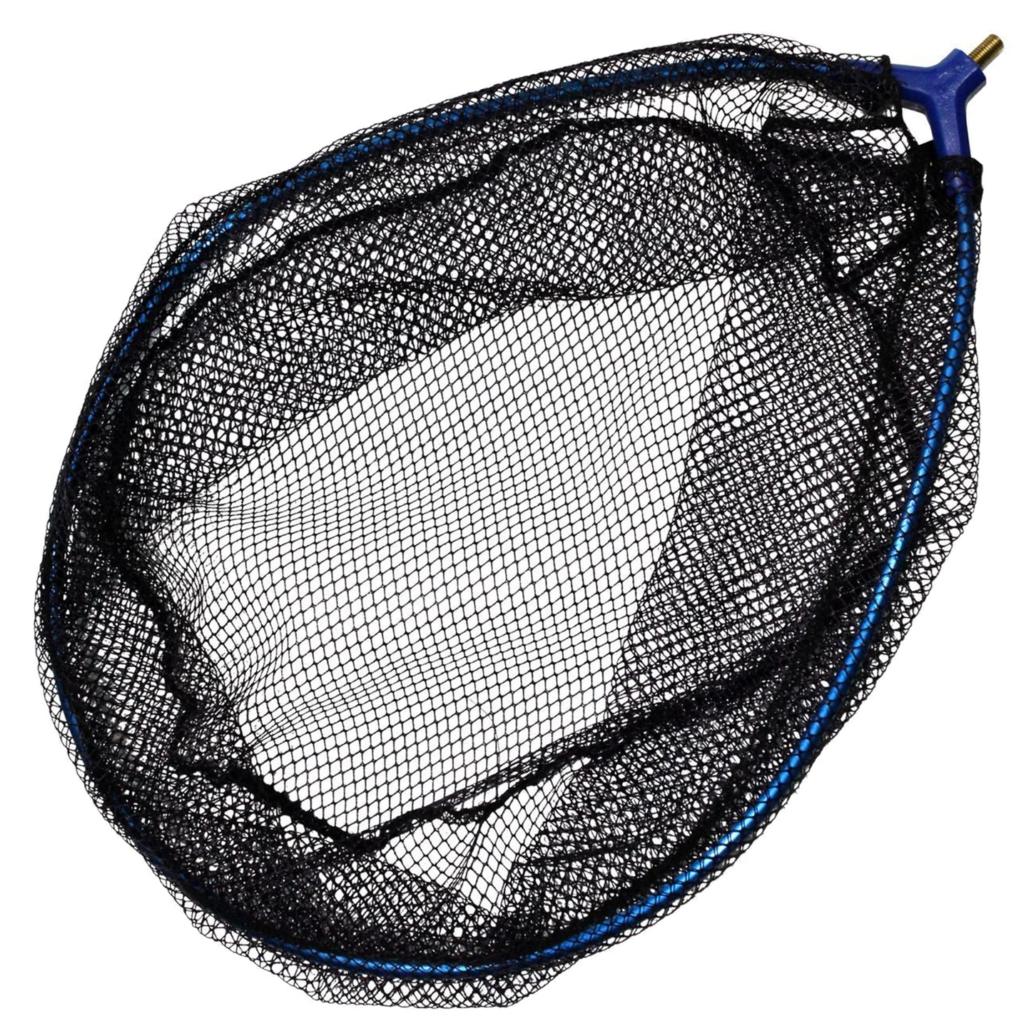 FTM Kescherkopf Prelude