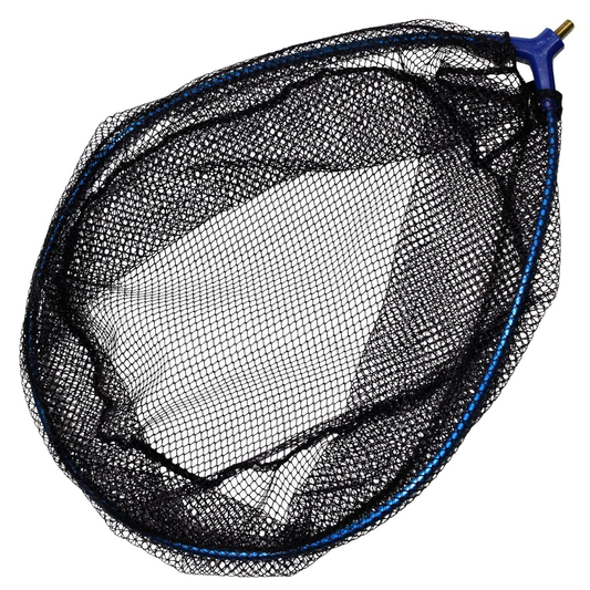 FTM Kescherkopf Prelude
